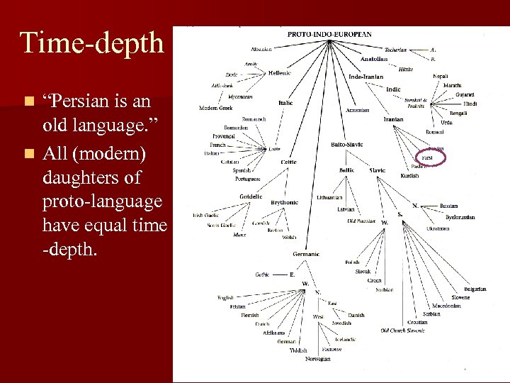 Time-depth “Persian is an old language. ” n All (modern) daughters of proto-language have
