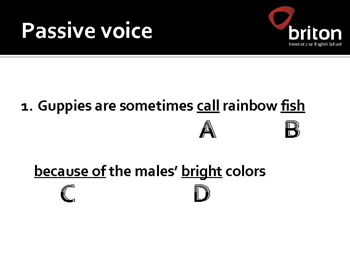 Passive voice 1. Guppies are sometimes call rainbow fish A because of the males’