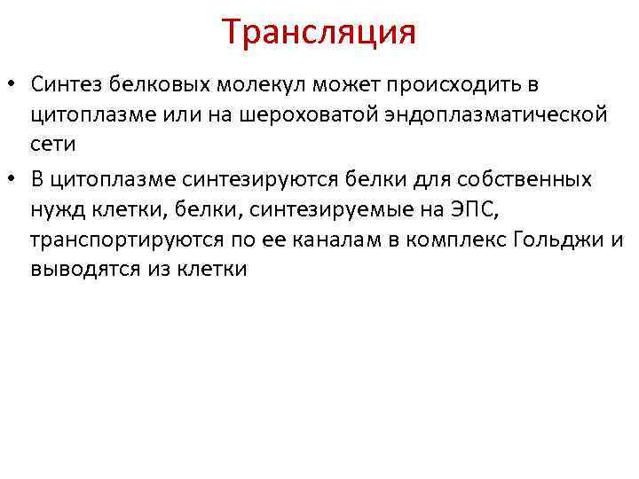 Трансляция • Синтез белковых молекул может происходить в цитоплазме или на шероховатой эндоплазматической сети