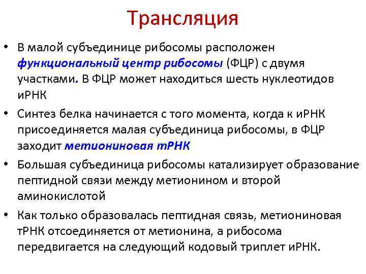 Трансляция • В малой субъединице рибосомы расположен функциональный центр рибосомы (ФЦР) с двумя участками.