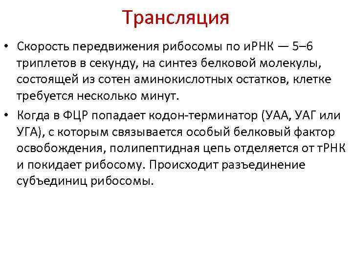 Трансляция • Скорость передвижения рибосомы по и. РНК — 5– 6 триплетов в секунду,