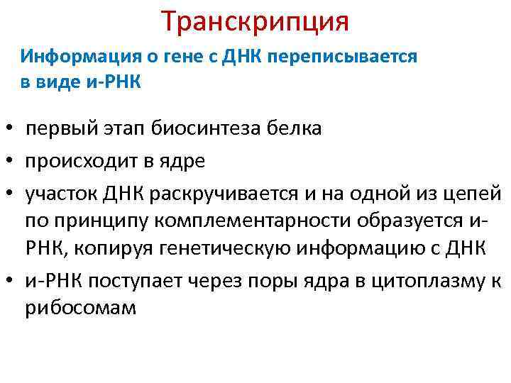 Транскрипция Информация о гене с ДНК переписывается в виде и-РНК • первый этап биосинтеза