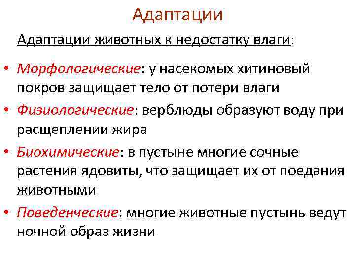 1с ошибка в элементе отбора глобальные элементы отбора обязательно должны использовать поля