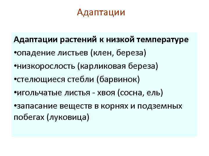 Адаптации растений к низкой температуре • опадение листьев (клен, береза) • низкорослость (карликовая береза)