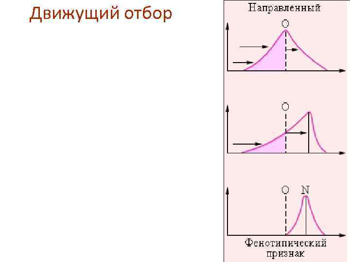 Признак характеризующий движущий отбор ответ