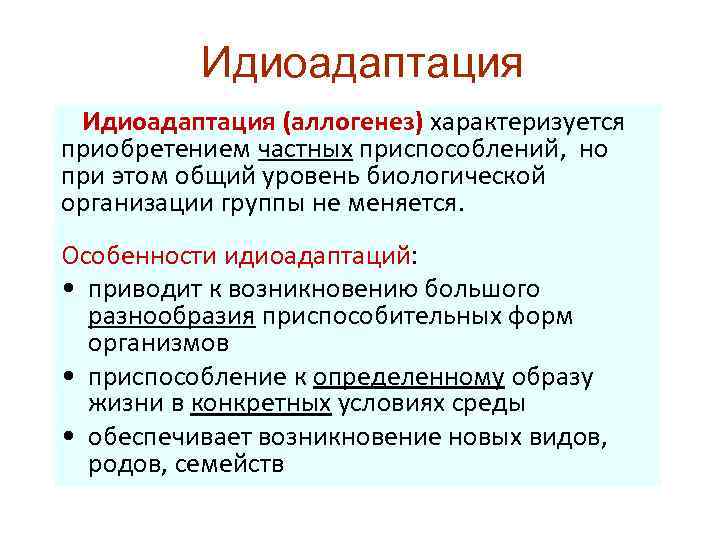 Идиоадаптация (аллогенез) характеризуется приобретением частных приспособлений, но при этом общий уровень биологической организации группы