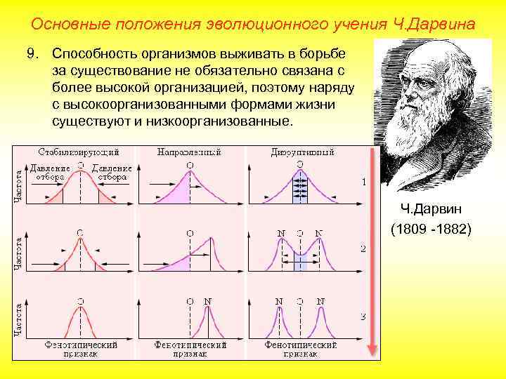 Основные положения эволюционного учения Ч. Дарвина 9. Способность организмов выживать в борьбе за существование