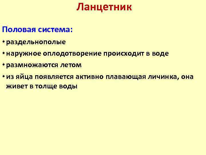 Ланцетник Половая система: • раздельнополые • наружное оплодотворение происходит в воде • размножаются летом