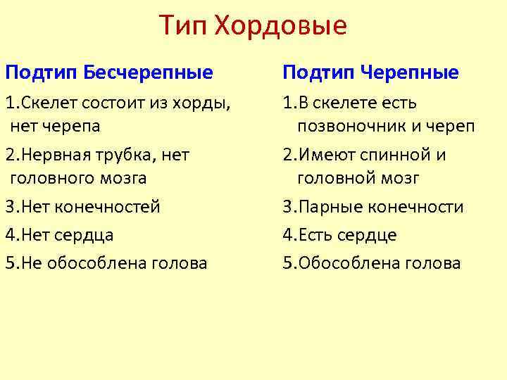 Тип Хордовые Подтип Бесчерепные Подтип Черепные 1. Скелет состоит из хорды, нет черепа 2.