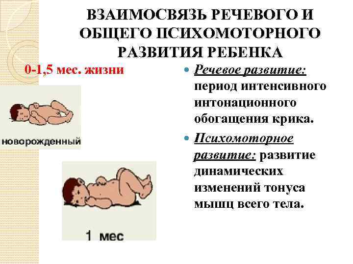ВЗАИМОСВЯЗЬ РЕЧЕВОГО И ОБЩЕГО ПСИХОМОТОРНОГО РАЗВИТИЯ РЕБЕНКА 0 -1, 5 мес. жизни Речевое развитие: