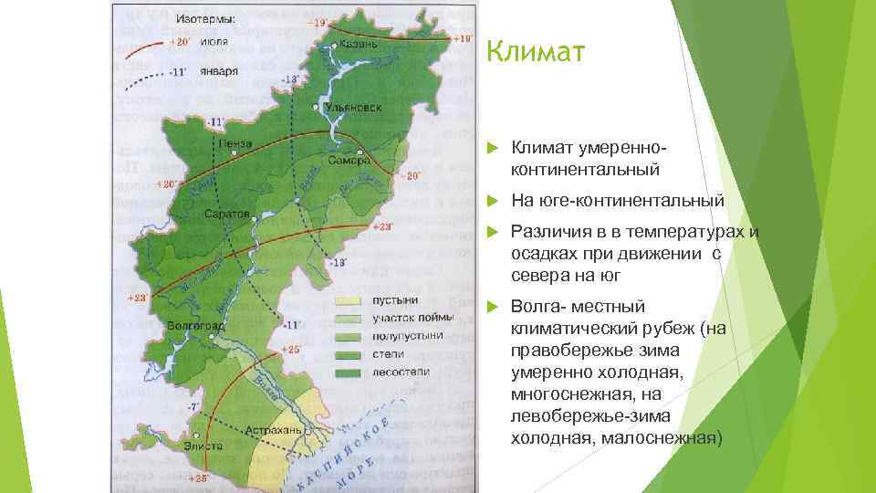 Климат умеренноконтинентальный На юге-континентальный Различия в в температурах и осадках при движении с севера