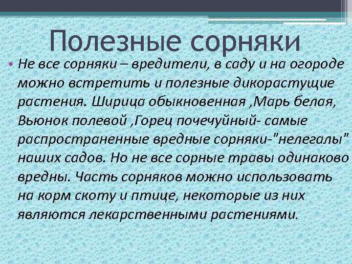 Полезные сорняки • Не все сорняки – вредители, в саду и на огороде можно