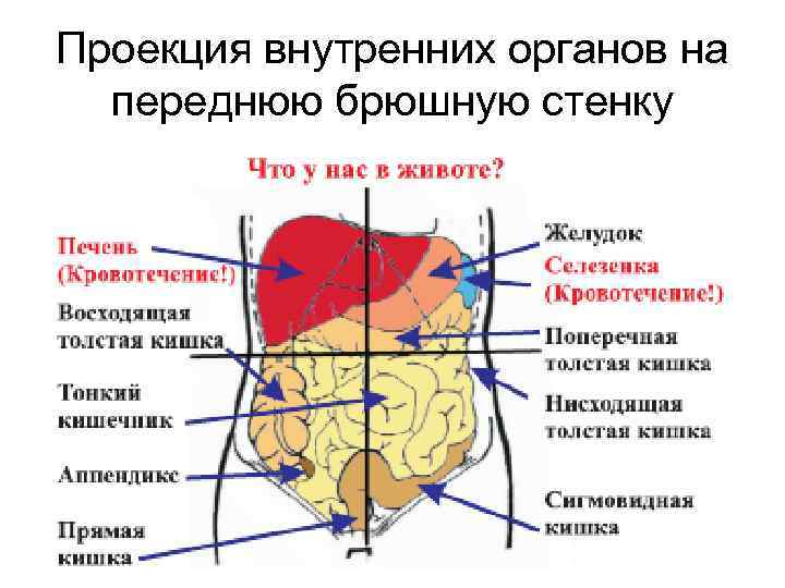 Травмы половых органов фото