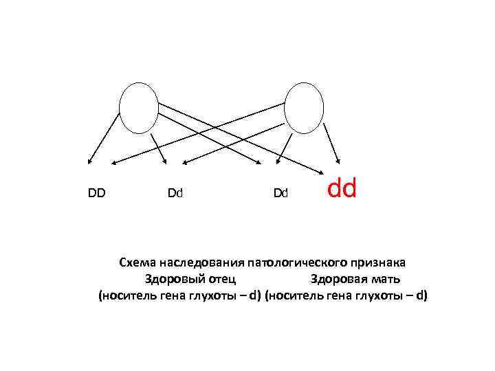 DD Dd Dd dd Схема наследования патологического признака Здоровый отец Здоровая мать (носитель гена