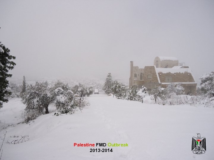 Palestine FMD Outbreak 2013 -2014 