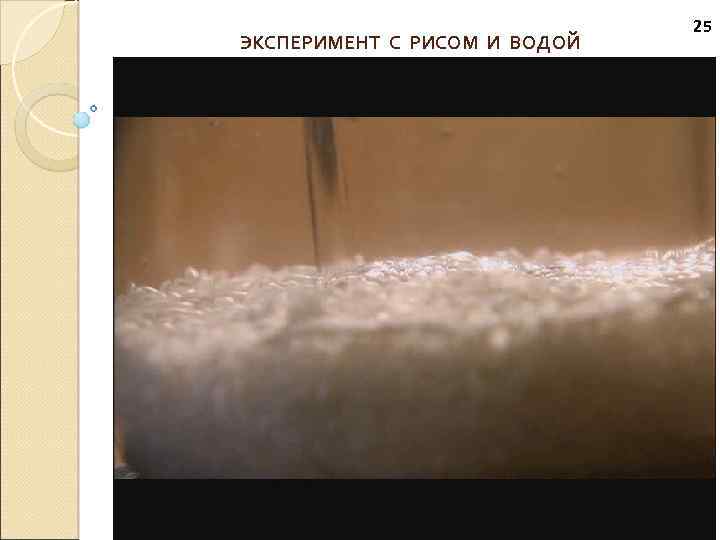 ЭКСПЕРИМЕНТ С РИСОМ И ВОДОЙ 25 