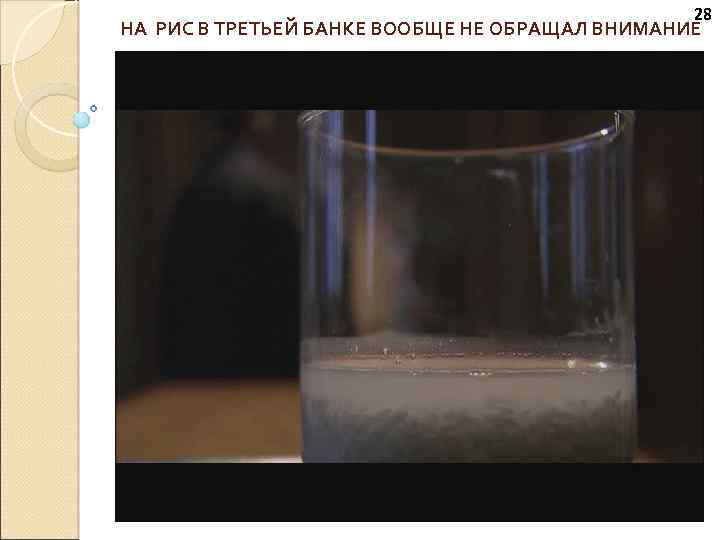 28 НА РИС В ТРЕТЬЕЙ БАНКЕ ВООБЩЕ НЕ ОБРАЩАЛ ВНИМАНИЕ 