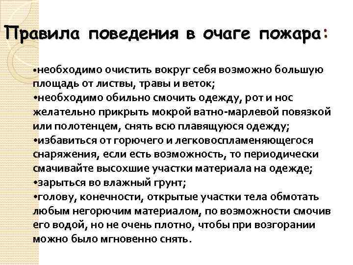 План действий если вы оказались в лесу вблизи очага пожара