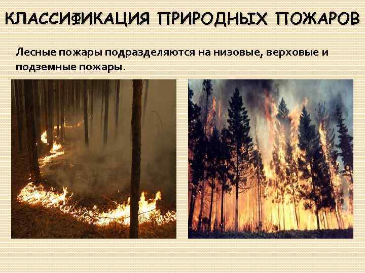 Природные пожары виды. Лесные пожары бывают низовые верховые и подземные. Низовой и верховой Лесной пожар. Низовые Лесные пожары подразделяются. Пожары подразделяющиеся на подземные низовые и верховые.