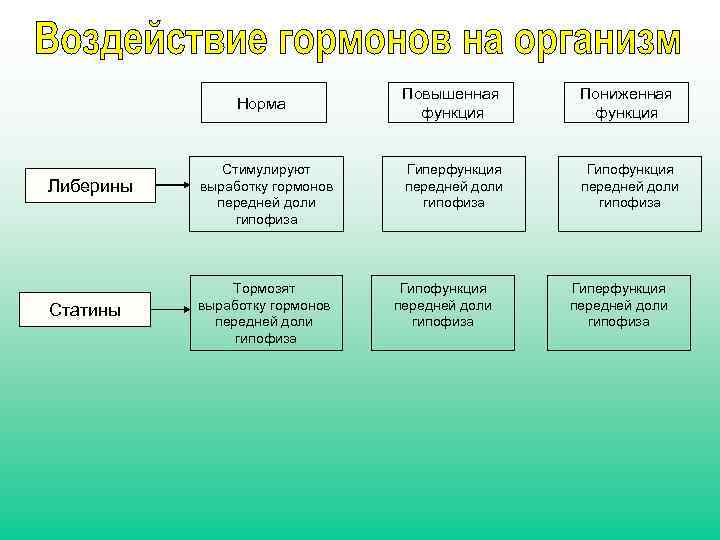 Норма Либерины Статины Стимулируют выработку гормонов передней доли гипофиза Тормозят выработку гормонов передней доли