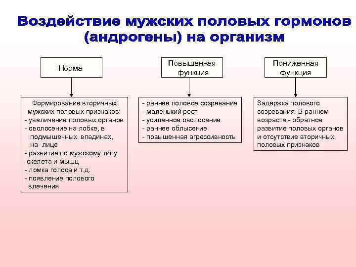 Норма Формирование вторичных мужских половых признаков: - увеличение половых органов - оволосение на лобке,