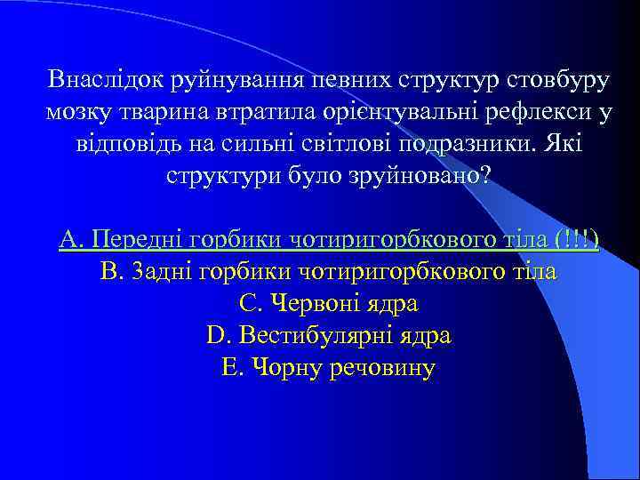 Внаслiдок руйнування певних структур стовбуру мозку тварина втратила орiєнтувальнi рефлекси у вiдповiдь на сильнi