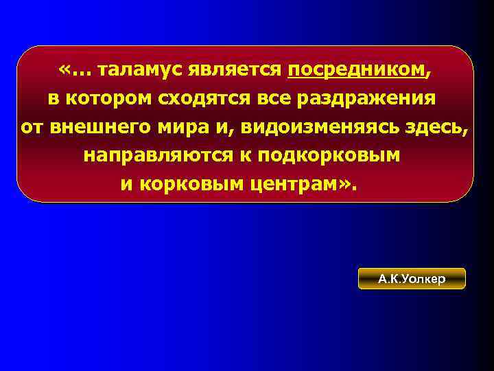  «… таламус является посредником, в котором сходятся все раздражения от внешнего мира и,