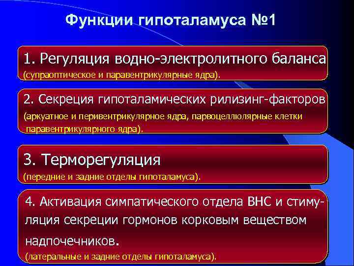 Функции гипоталамуса № 1 1. Регуляция водно-электролитного баланса (супраоптическое и паравентрикулярные ядра). 2. Секреция