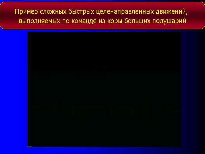 Пример сложных быстрых целенаправленных движений, выполняемых по команде из коры больших полушарий 