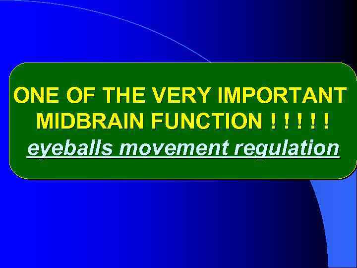 ONE OF THE VERY IMPORTANT MIDBRAIN FUNCTION ! ! ! eyeballs movement regulation 