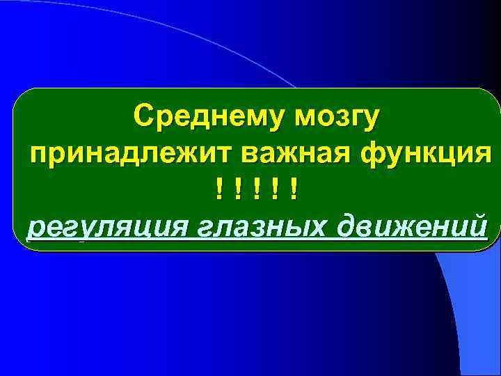 Среднему мозгу принадлежит важная функция !!!!! регуляция глазных движений 