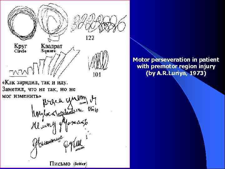 Motor perseveration in patient with premotor region injury (by A. R. Luriya, 1973) 