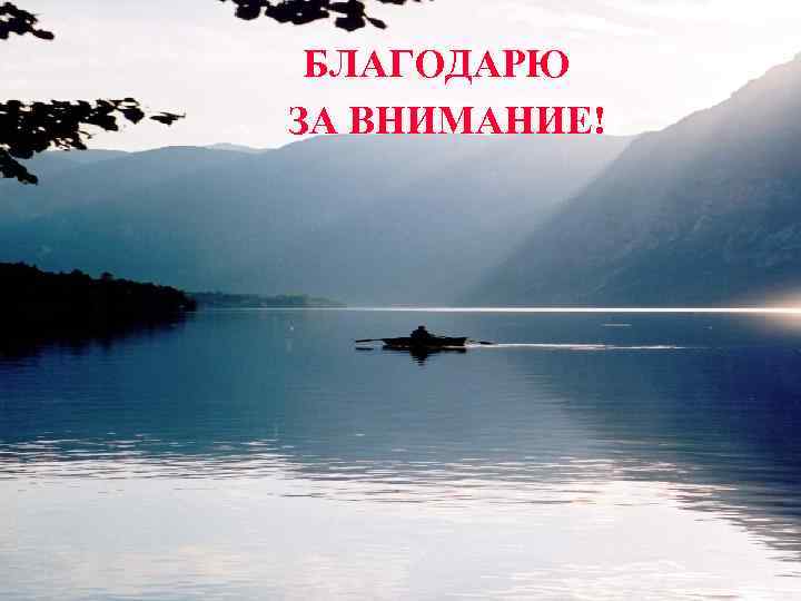 БЛАГОДАРЮ ЗА ВНИМАНИЕ! 