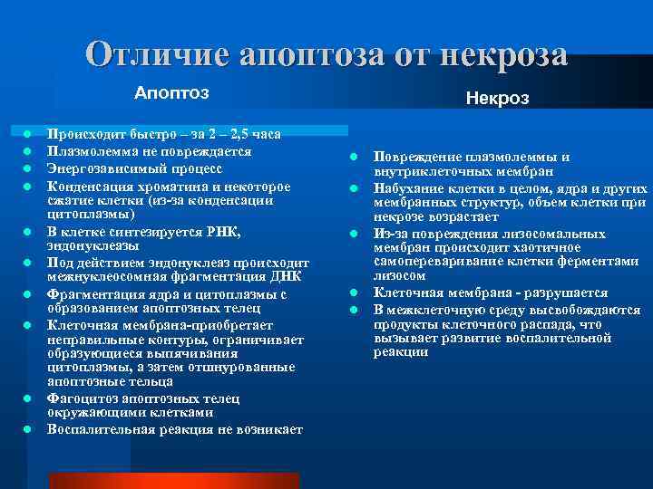 Отличие апоптоза от некроза Апоптоз l l l l l Происходит быстро – за