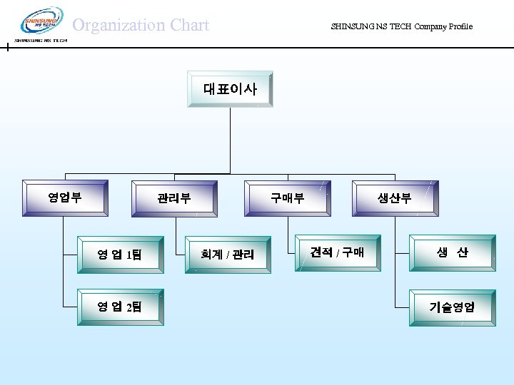 Organization Chart SHINSUNG NS TECH Company Profile 대표이사 영업부 구매부 관리부 영 업 1팀