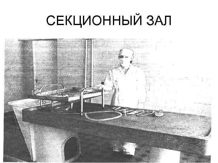 СЕКЦИОННЫЙ ЗАЛ 