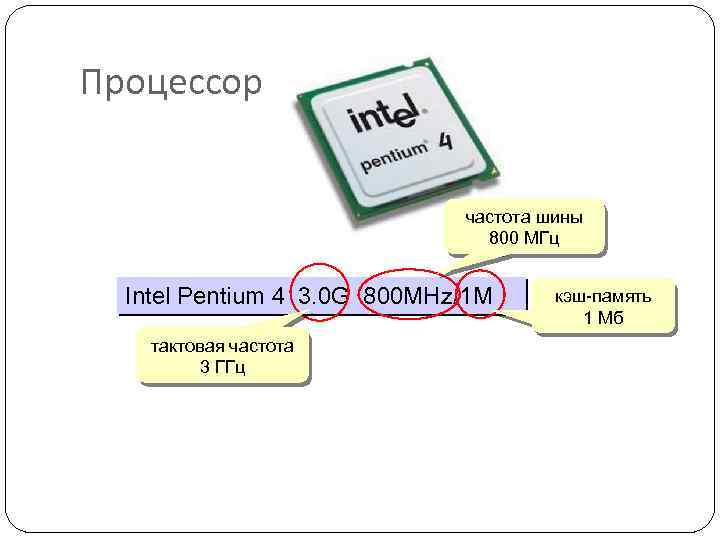 Процессор частота шины 800 МГц Intel Pentium 4 3. 0 G 800 MHz/1 M