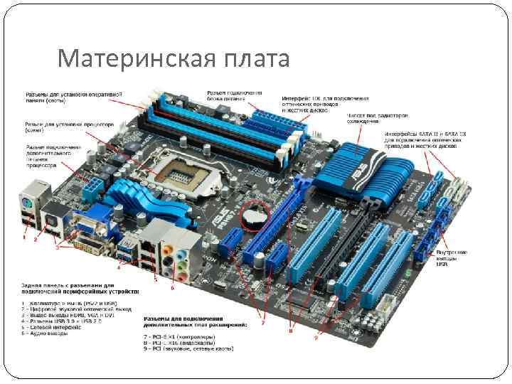 Сетевая карта материнская карта