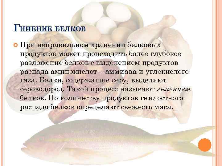 Хранение белков. Гниение белков. Хранение белковых продуктов. Гниение белков происходит в. При длительном хранении белков.