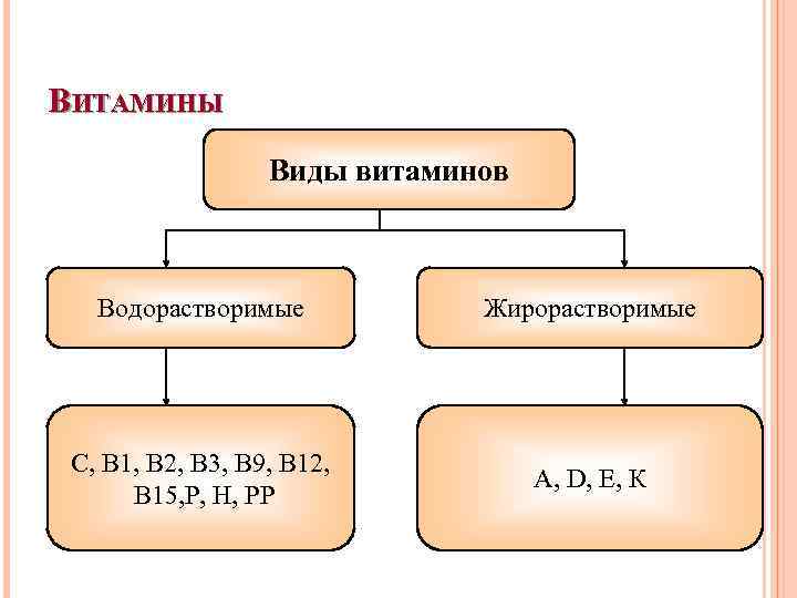 Виды витаминов