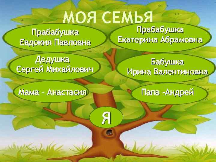 МОЯ СЕМЬЯ Прабабушка Екатерина Абрамовна Прабабушка Евдокия Павловна Дедушка Сергей Михайлович Бабушка Ирина Валентиновна