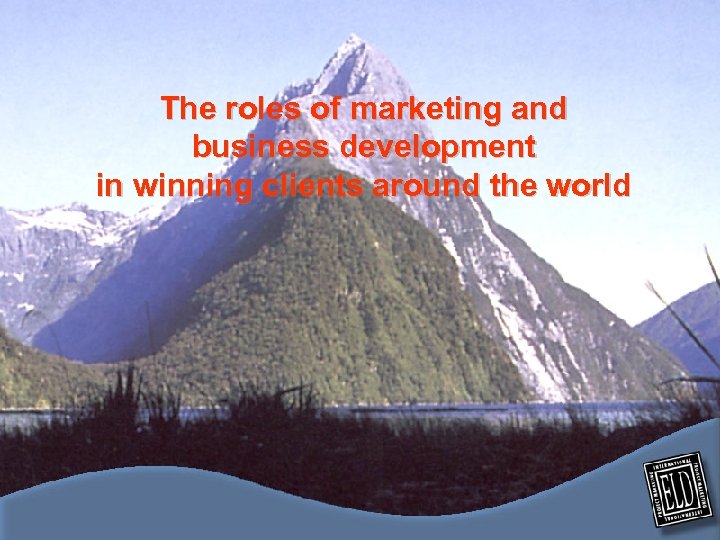 The roles of marketing and business development in winning clients around the world 