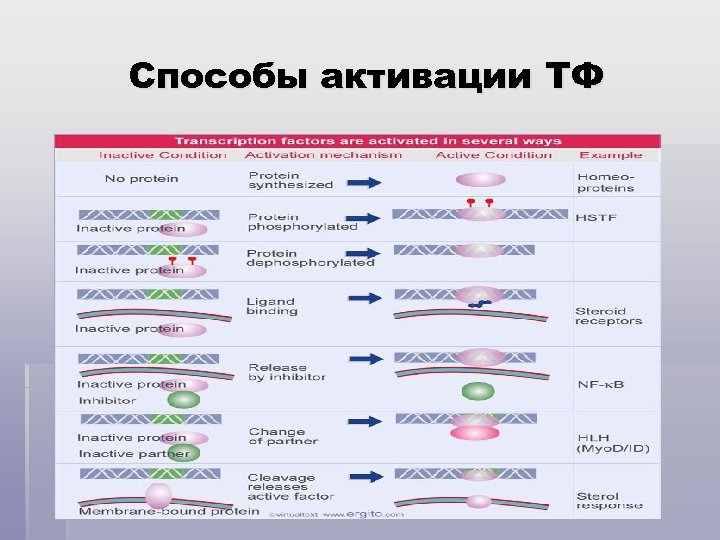 Способы активации ТФ 
