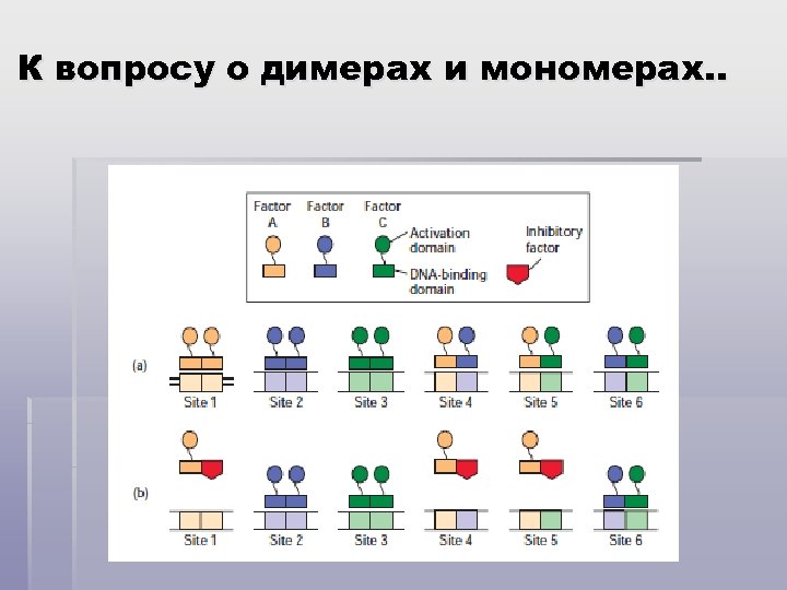 К вопросу о димерах и мономерах. . 