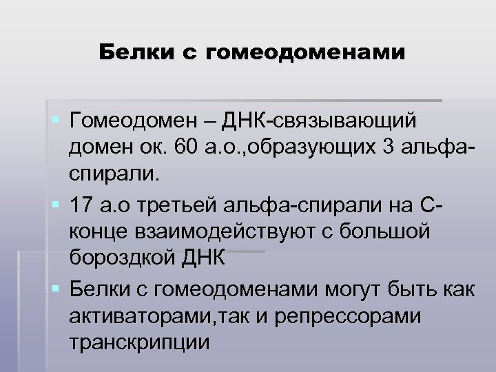 Белки с гомеодоменами § Гомеодомен – ДНК-связывающий домен ок. 60 а. о. , образующих