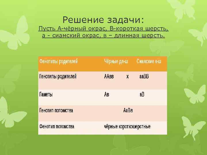 Решение задачи: Пусть А-чёрный окрас, В-короткая шерсть, а - сиамский окрас, в – длинная