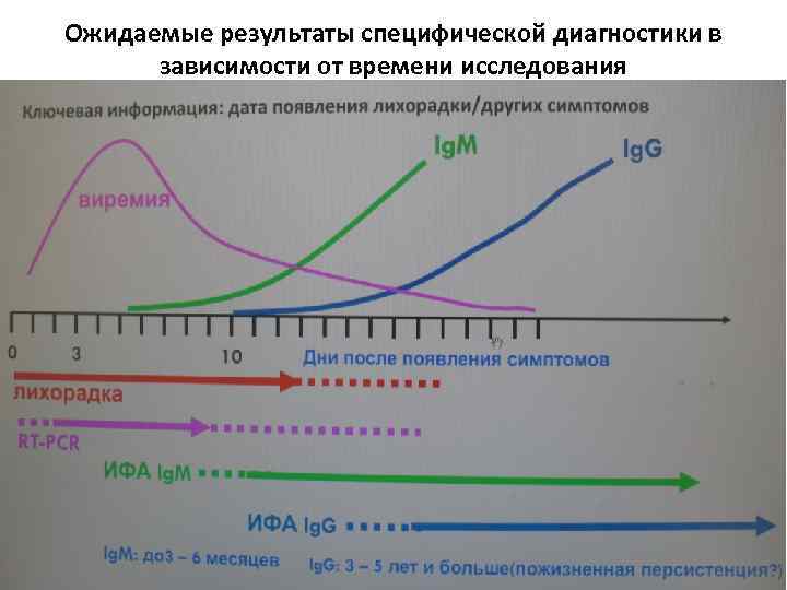 Ожидаемые результаты специфической диагностики в зависимости от времени исследования 