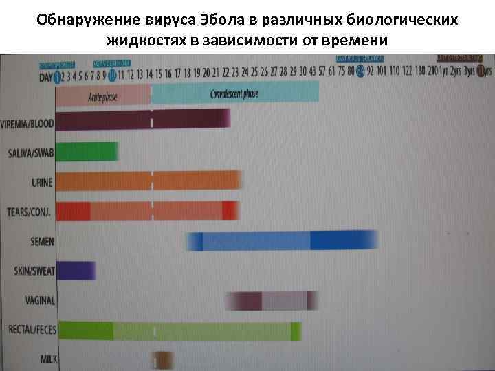 Обнаружение вируса Эбола в различных биологических жидкостях в зависимости от времени 