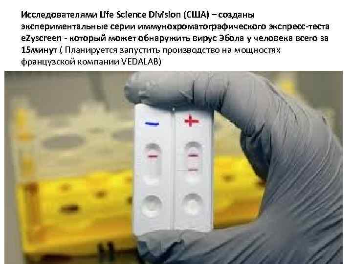 Исследователями Life Science Division (США) – созданы экспериментальные серии иммунохроматографического экспресс-теста e. Zyscreen -