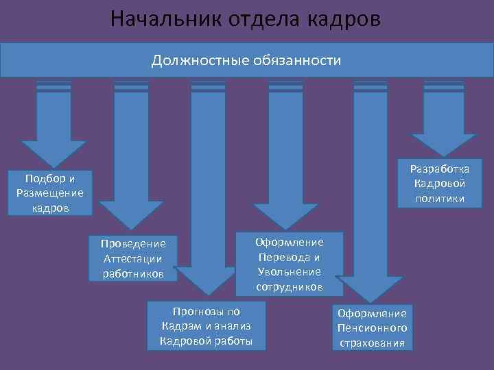 Начальник отдела кадров Должностные обязанности Разработка Кадровой политики Подбор и Размещение кадров Проведение Аттестации